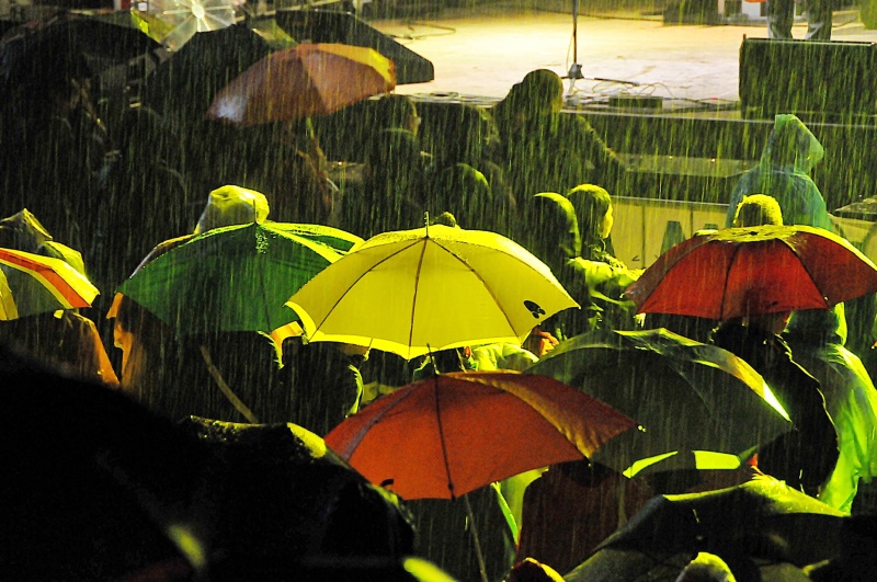 FOTO2-Deštníky_v_dešti